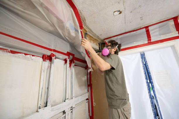 Best Mold Remediation for Healthcare Facilities  in Eagle Lake, FL